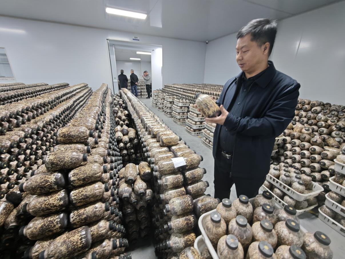 圖片關(guān)鍵詞 圖片關(guān)鍵詞