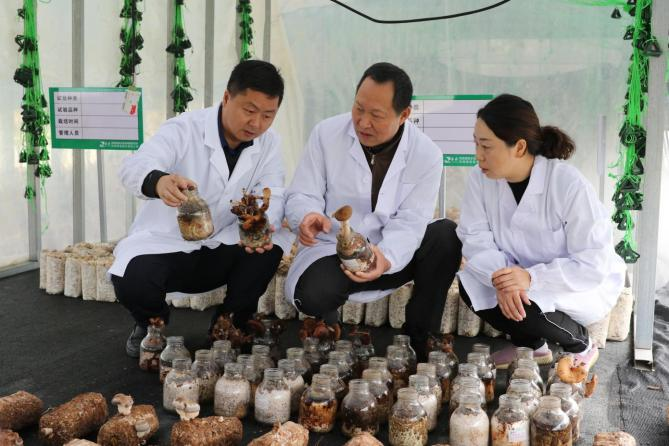 圖片關(guān)鍵詞