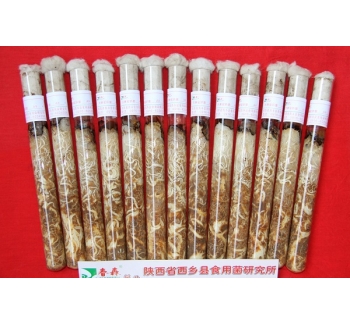 天麻蜜環(huán)菌母種、原種、栽培種