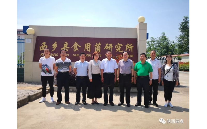 中國食用菌協(xié)會(huì)副會(huì)長何方明一行蒞臨西鄉(xiāng)縣食用菌研究所調(diào)研