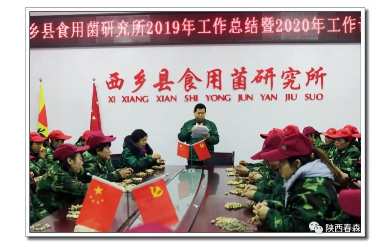 2019春森菌業(yè)年產(chǎn)菌種超過300萬袋（瓶），擴(kuò)建近40畝，經(jīng)營再創(chuàng)歷史新高