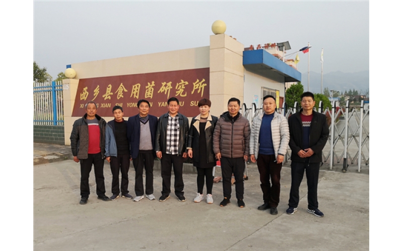 略陽縣農(nóng)業(yè)農(nóng)村局副局長文廣富一行蒞臨春森菌業(yè)參觀交流